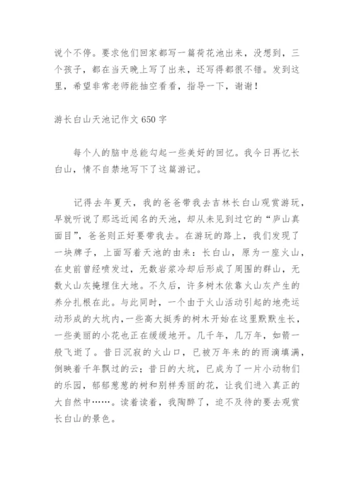 美丽的长白山天池作文550字.docx