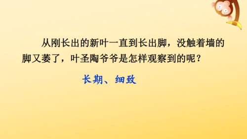 10 爬山虎的脚   课件