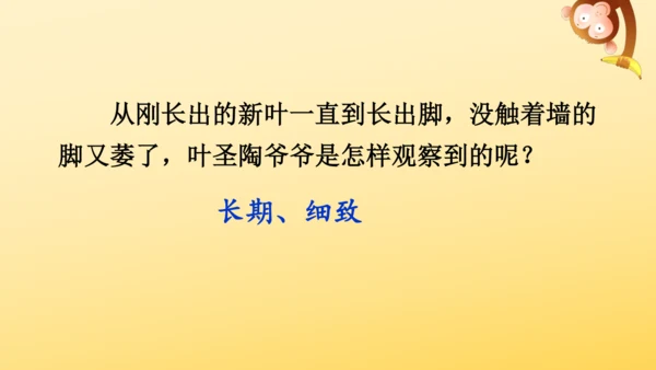 10 爬山虎的脚   课件
