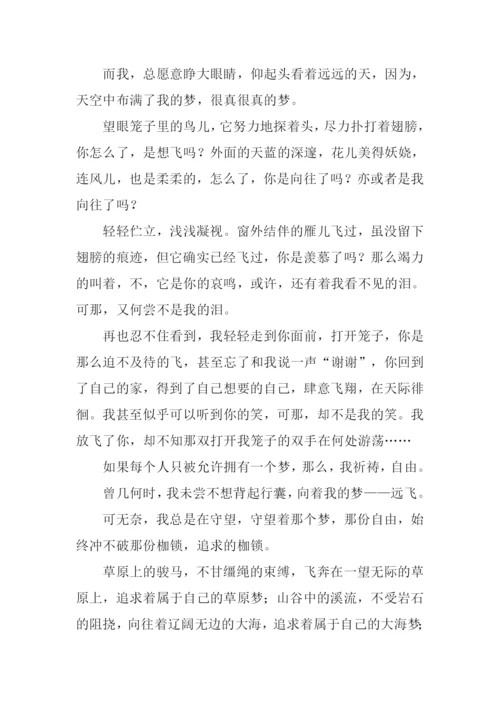 梦在远方初中作文.docx