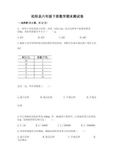 松阳县六年级下册数学期末测试卷加精品答案.docx