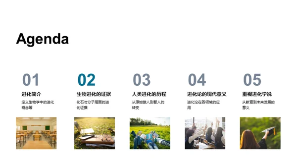 探索生物演化历程