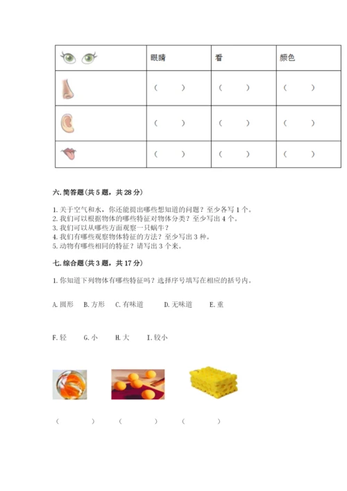 教科版一年级下册科学期末测试卷含答案ab卷.docx