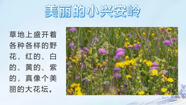 部编版三年级上册第二十课美丽的小兴安岭PPT模板