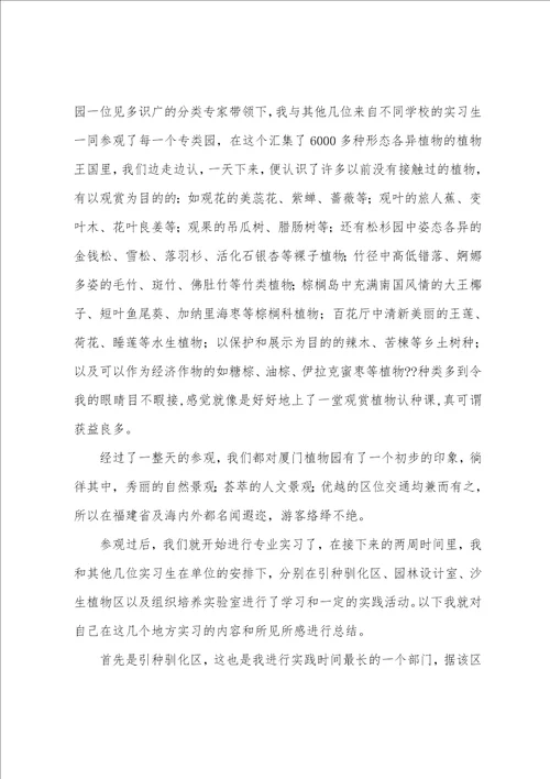 厦门实习总结