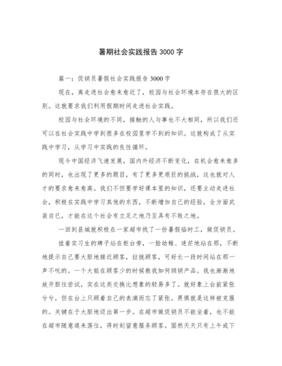 暑期社会实践报告3000字.docx