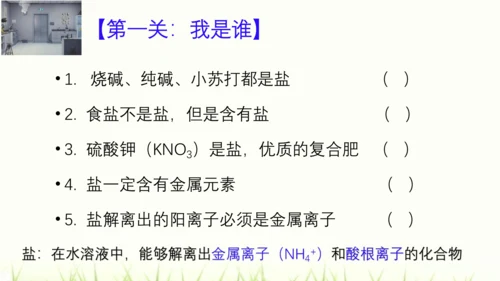 人教版九年级化学下册第十一单元 盐 化肥复习课件(共23张PPT)
