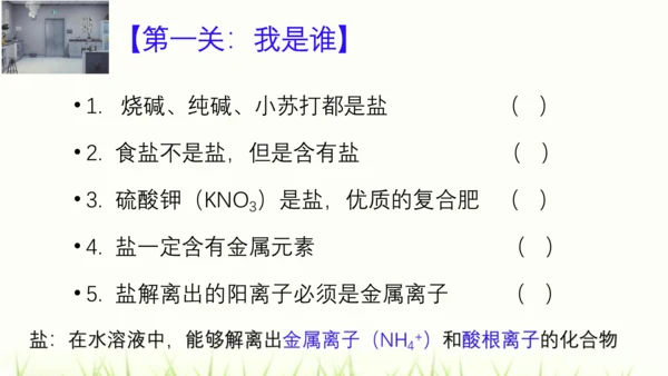 人教版九年级化学下册第十一单元 盐 化肥复习课件(共23张PPT)