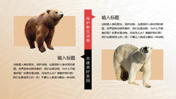 保护野生动物狮子通用PPT模板