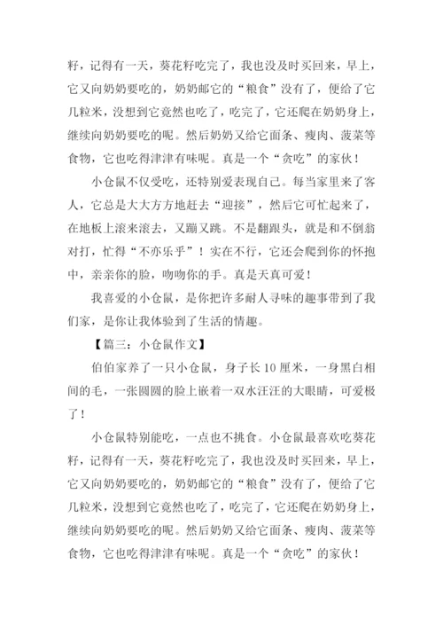 小仓鼠作文300字.docx