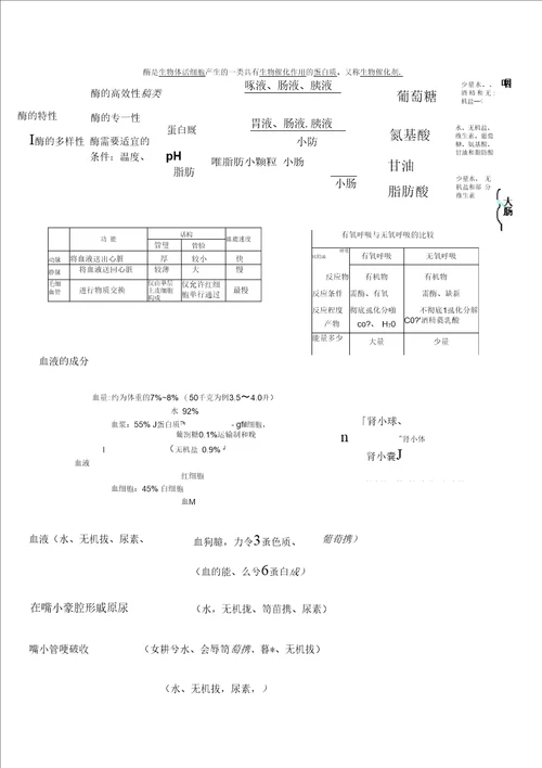 浙江省温州市平阳县鳌江镇第三中学九年级科学代谢与平衡教案