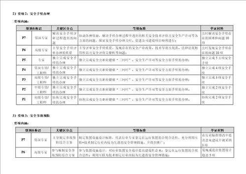 “EHS安全P序列任职资格等级标准   修改技能标准版1