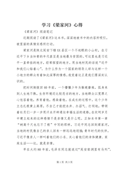 学习《梁家河》心得 (5).docx