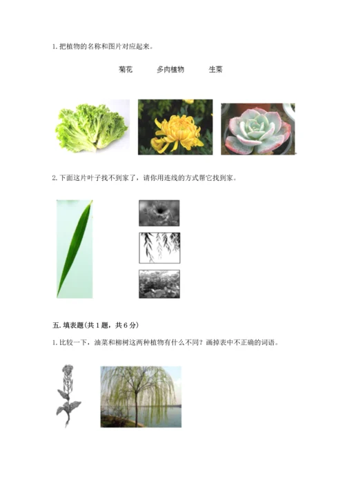 教科版科学一年级上册第一单元《植物》测试卷及参考答案【b卷】.docx