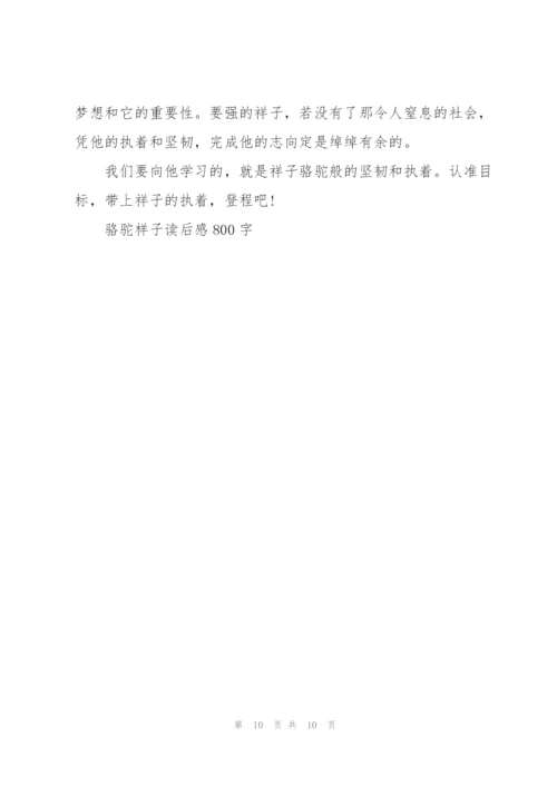 骆驼样子读后感800字5篇.docx