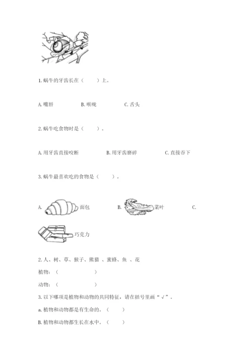 教科版一年级下册科学期末测试卷（考点梳理）word版.docx