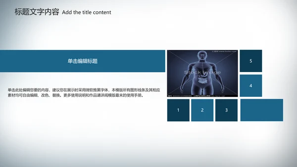 医疗医学胃肠道消化ppt课件动态模板