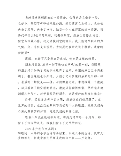 2022小升初作文真题精选八篇.docx