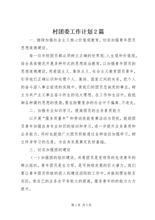 村团委工作计划2篇.docx