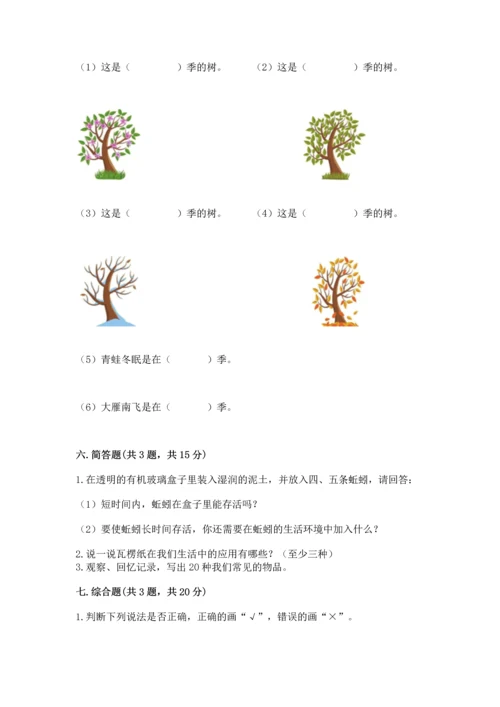 教科版二年级上册科学期末测试卷带答案（夺分金卷）.docx