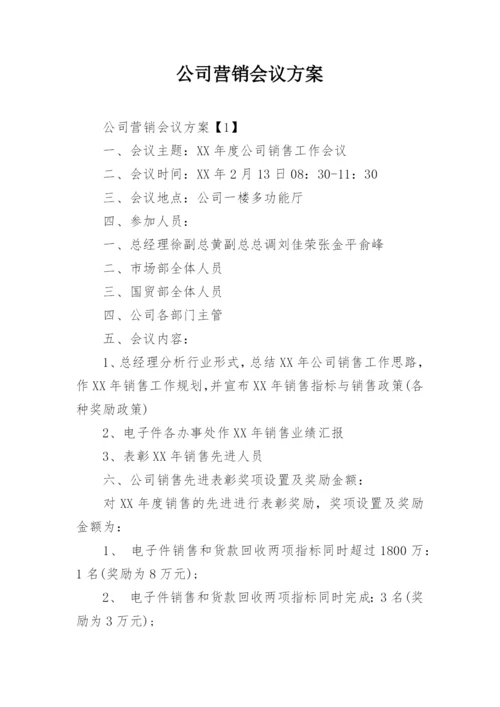 公司营销会议方案.docx