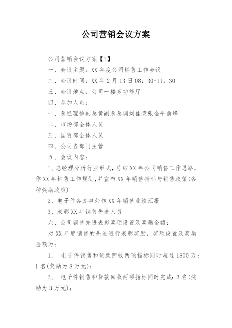 公司营销会议方案.docx