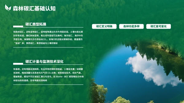 绿色清新森林生态环境保护调研汇报PPT模板