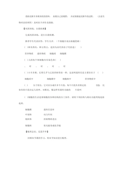 4965.人教版初中生物细胞核是遗传信息库教案123515.docx