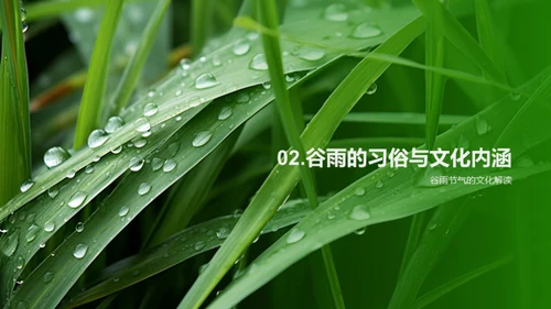 深度解读谷雨节气