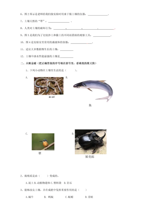 苏教版三年级科学下册单元测试题-题目.docx