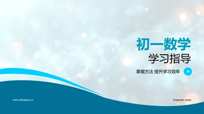 初一数学学习指导