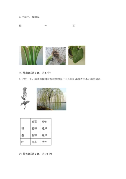 教科版科学一年级上册第一单元《植物》测试卷及完整答案（夺冠）.docx