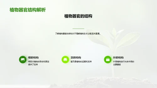 植物生长与环境因素