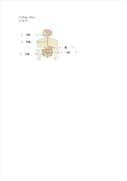 新教科版四年级科学上册期末测试卷基础题