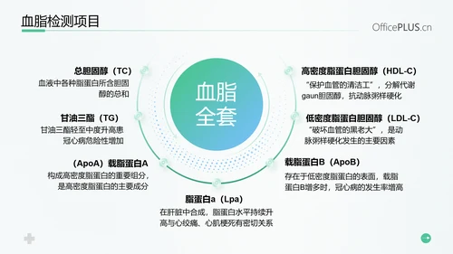 守护健康生活高血脂症健康知识教育PPT模板