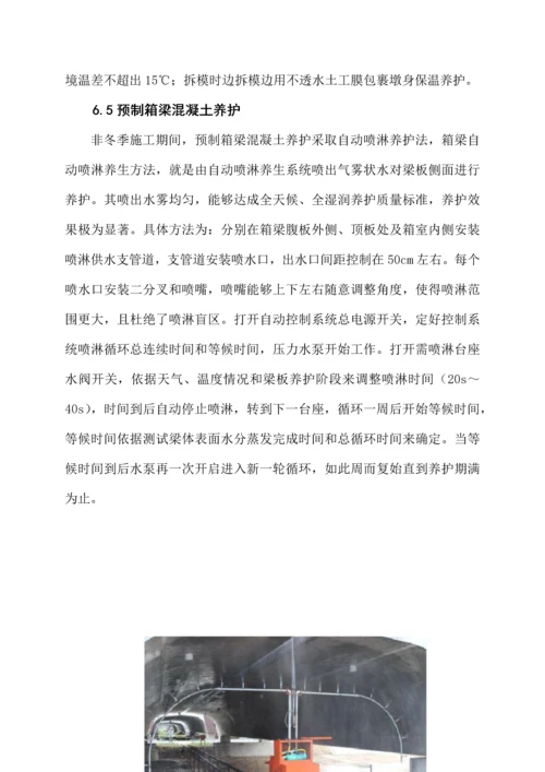 桥梁混凝土养护专项方案修改版.docx