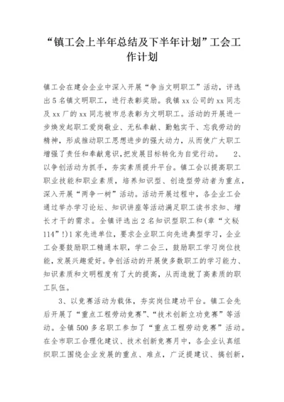 “镇工会上半年总结及下半年计划”工会工作计划.docx