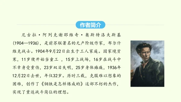 第六单元名著导读《钢铁是怎样炼成的》 统编版语文八年级下册 同步精品课件