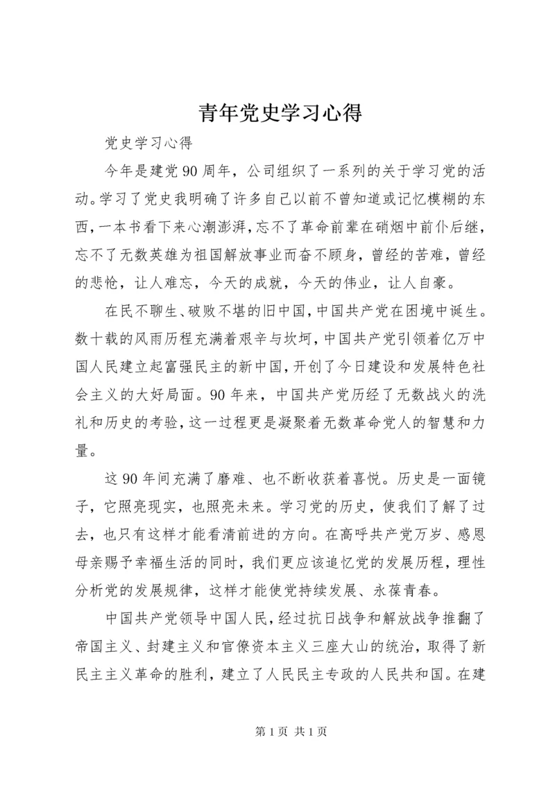 青年党史学习心得.docx