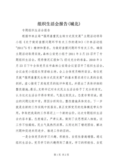 组织生活会报告(城北) (3).docx