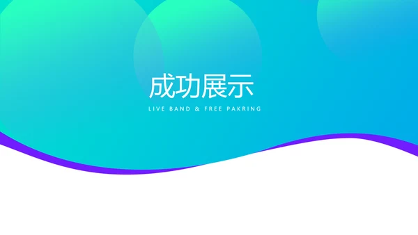蓝色医疗医保工作总结动态PPT