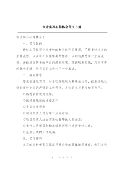 审计实习心得体会范文5篇.docx