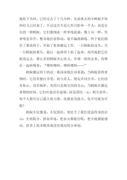 蚂蚁的启示作文-6.docx