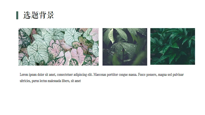 绿色植物自然风格答辩通用PPT模板