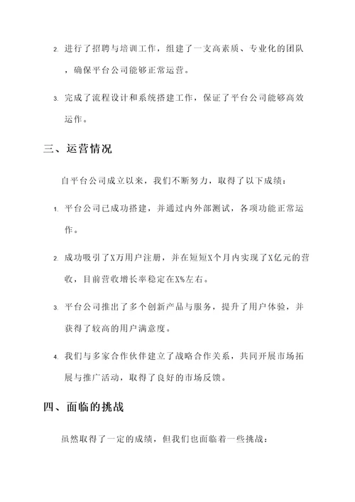 关于平台公司组建运营情况汇报