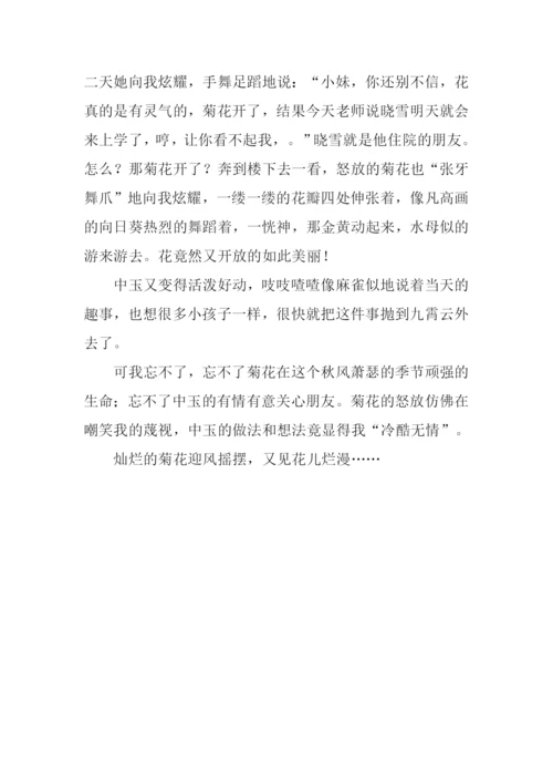 又见花儿烂漫作文800字.docx