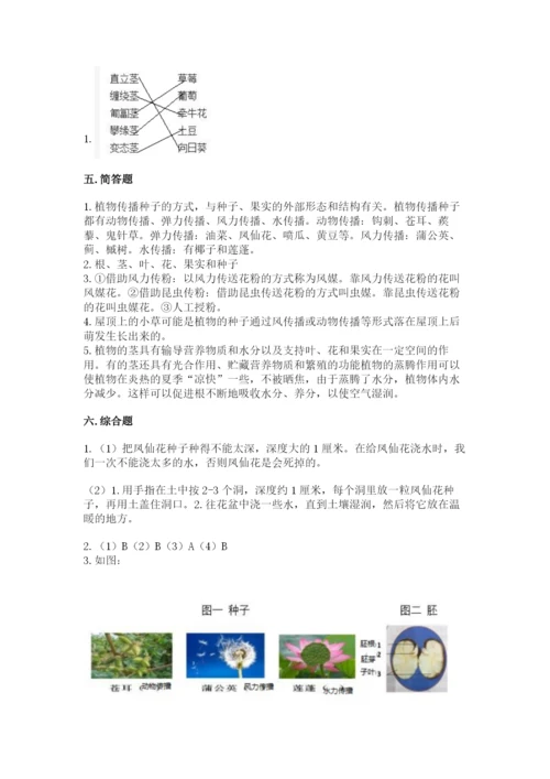 教科版科学四年级下册第一单元《植物的生长变化》测试卷【考点梳理】.docx