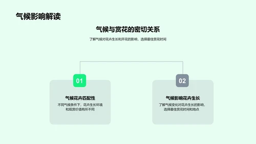 立春气候与赏花攻略PPT模板