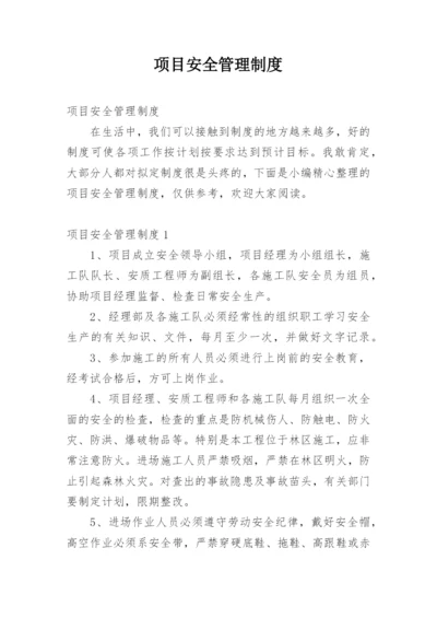 项目安全管理制度.docx