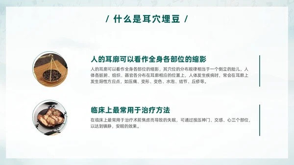 中国风古风水墨中医耳穴埋豆传统理疗操作培训PPT